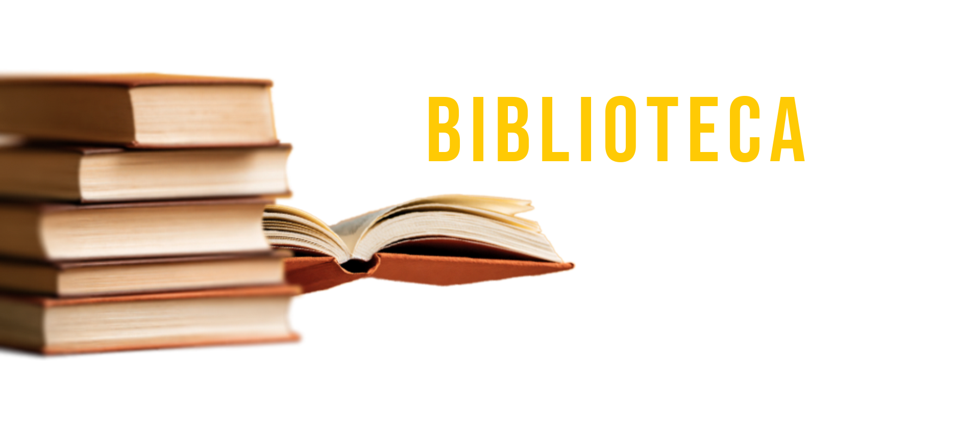 Biblioteca personal de Ricardo B. Salinas Pliego