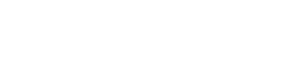 Institute of the Americas